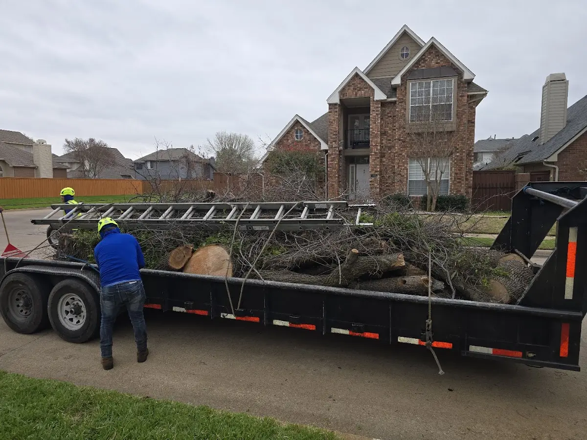 Expert Tree Pest Control with proper safety equipment in Middleburg